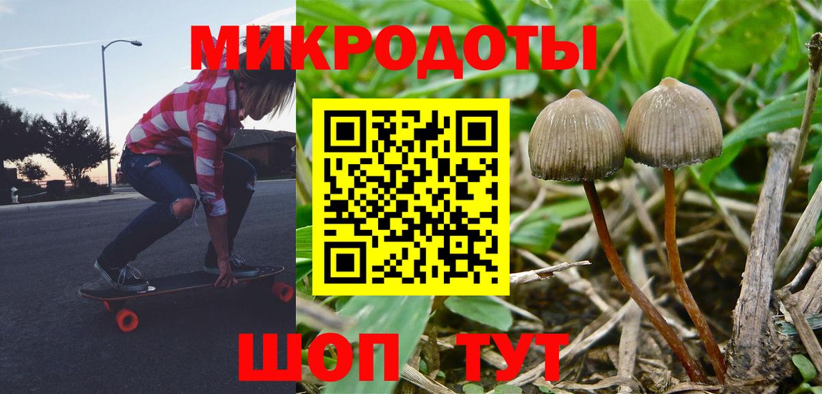 Псилоцибиновые грибы GOLDEN TEACHER  Вход с VPN  Глазов 